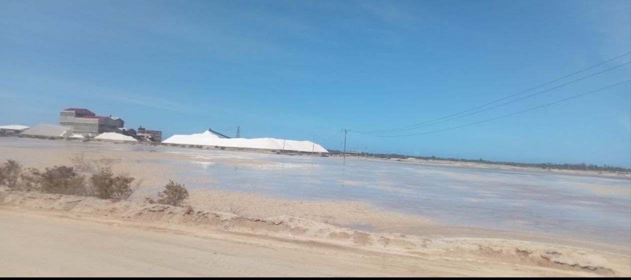 Malindi Salt Site Tour